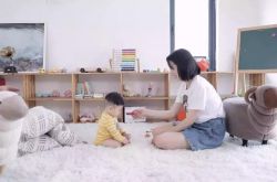 （使用手册）厦门 咨询_哔哩哔哩-2